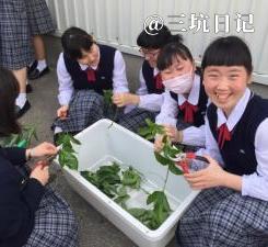Jk制服图片 Jk制服百科 三坑日记 Jk制服图片 Jk制服百科 三坑日记